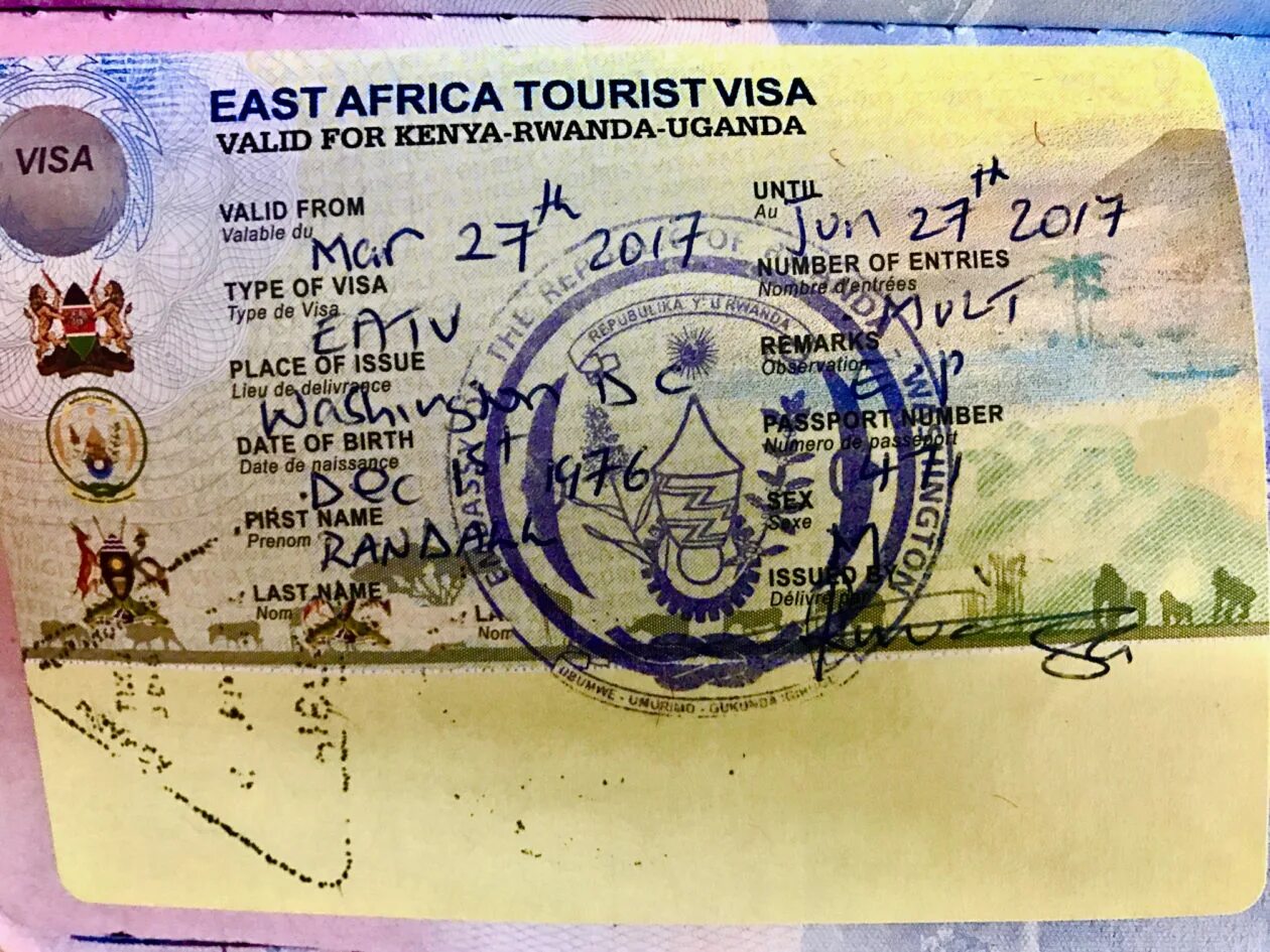 Виза в Египет. Туристическая виза Египет. Египетская виза для россиян. Tourist visa