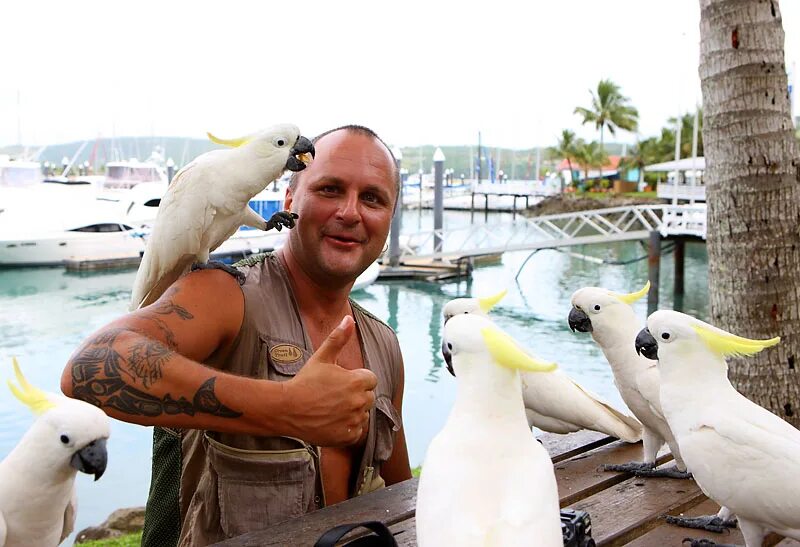 Винский форум путешествий. Сайт винского. Форум винского австралия. Форум винского австралия. Форум винского австралия.