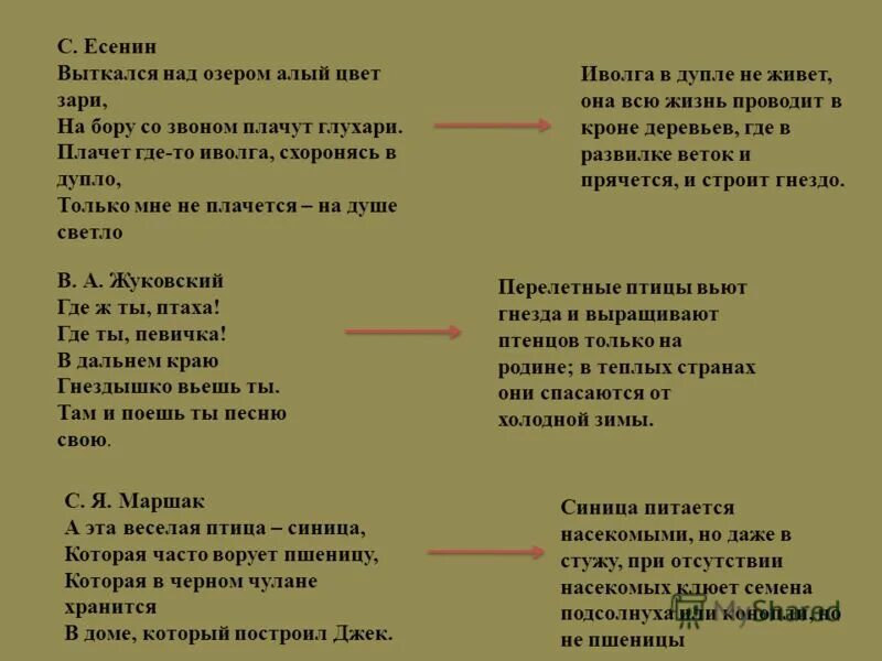 Цветок алый алый песня текст. Есенин где то плачет Иволга. Есенин Иволга. Стих Есенина Выткался на озере алый. Есенин стихи Выткался над озером алый свет зари.