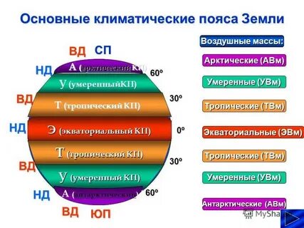 Чем отличаются переходные пояса от основных кратко