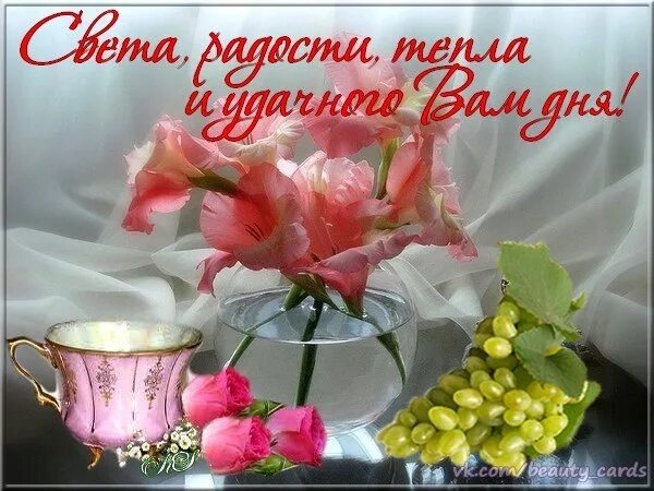 Дня вам желаю