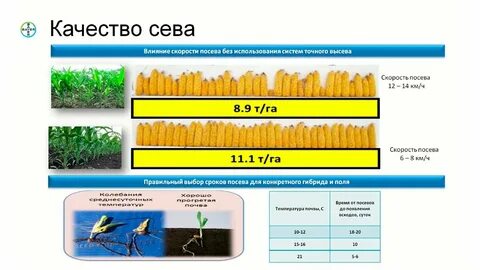 Край срок