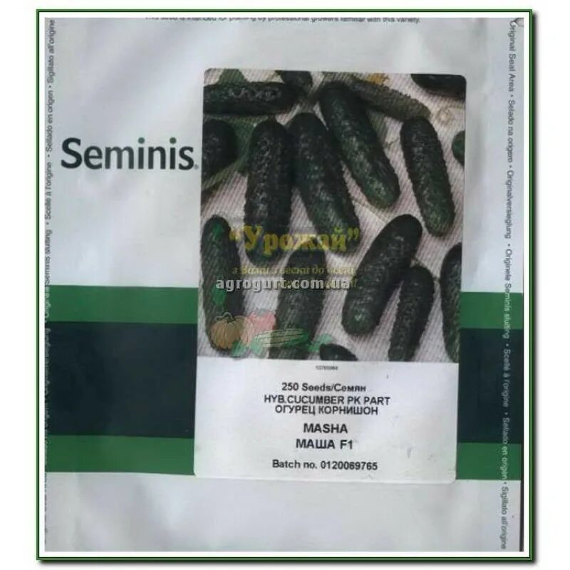профессиональные семена огурцов. семена огурец кураж гавриш. семена огурец уралочка f1. семко огурец зеленика f1. семена огурцов f1 зеленая волна.