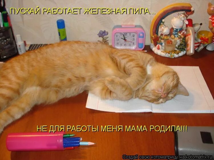 Не пущу работать. Не пущу работать. Котик вылезай из под одеяла. Пускай работает железная пила. Не для работы меня мама родила.