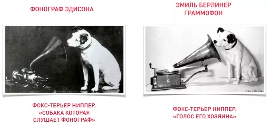 Самая первая аудиозапись. Самая первая аудиозапись в мире. Собака слушающая Фонограф логотип. Пес Nipper.