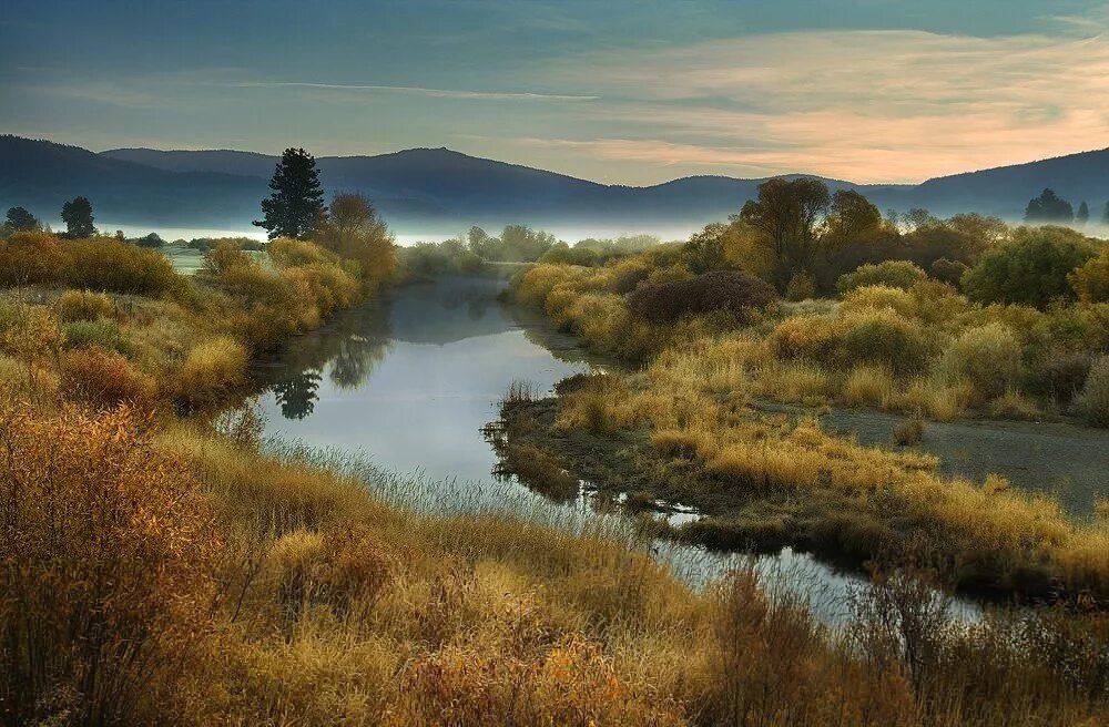 Nature работа