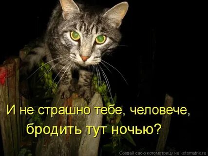 Не страшно если ты один