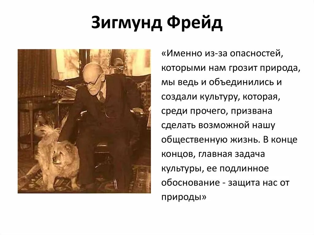 Собака фрейда