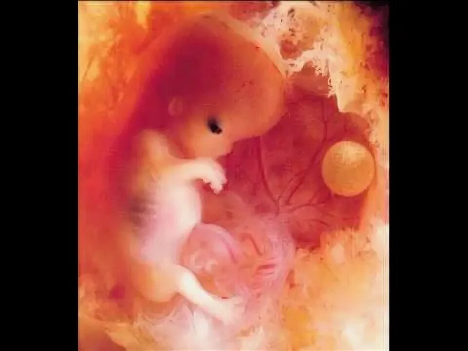 That Poore Baby Pregnancy Photos
