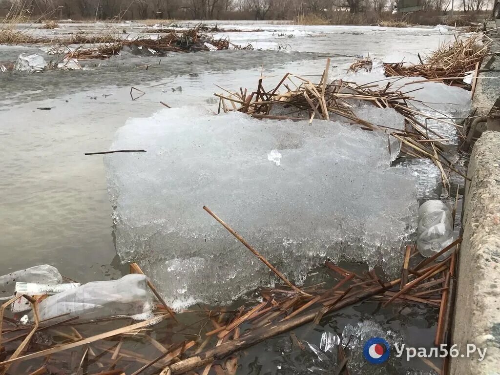 Уровень воды в реке урал сегодня. Река Орь в Орске. Уровень воды в реке Урал. Уровень воды в Урале. Орск мост слюдяной.