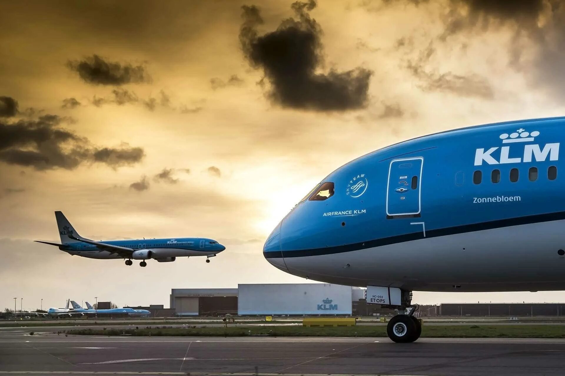 Агенство самолет отзывы. KLM авиакомпания самолеты. Самолёты компании КЛМ. КЛМ Голландия. KLM Royal Dutch Airlines.