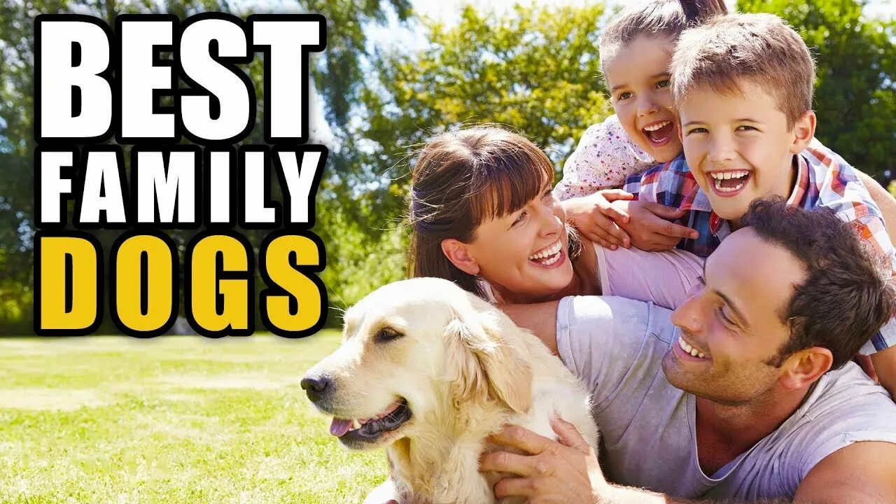 Your family a dog. Best family dog. dog x family. best dogs. outdoor party for family and dog.