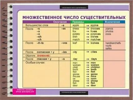 Photo во множественном