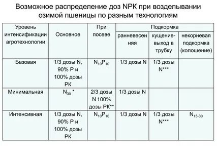 Технология возделывания озимых