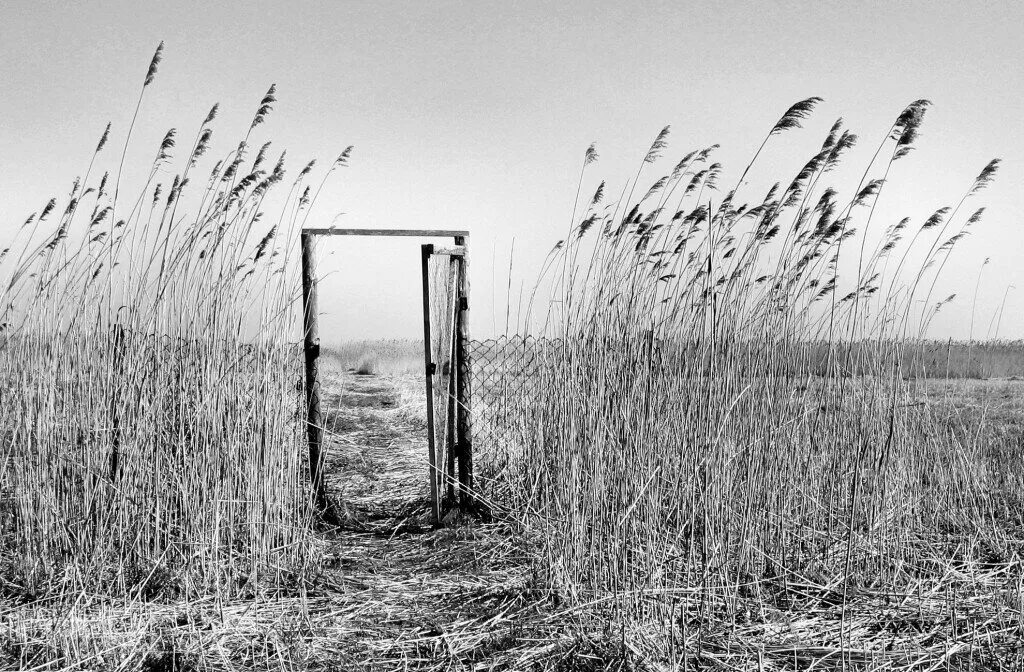 Блондин значение слова. Пусто значит. Что такое пустое значение? какие типы пустых значений различают?. Картинки на аву с надписями. Обои с надписью пусто.