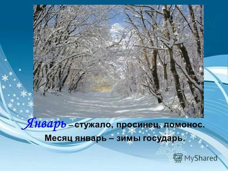 Месяц январь зимы государь подчеркните имена. Январь описание месяца. Месяц январь-зимы государь. Январь-весне дедушка. Прочитай почему так говорят месяц январь зимы.