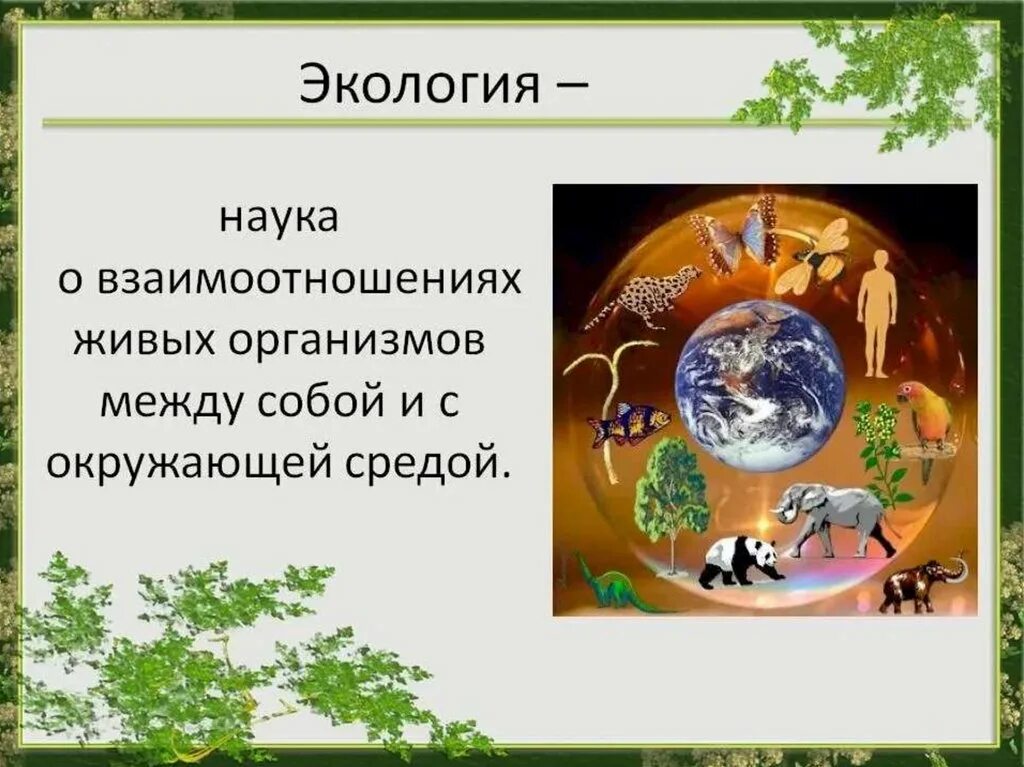 Экологический урок по биологии. Экология это наука. Экология презентация. Презентация на экологическую тему. Экология определение.
