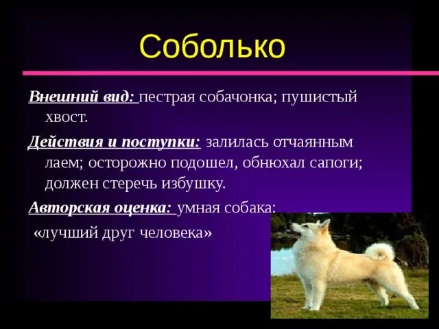 Соболько. Синквейн собака. Характеристика приемыша и соболька. Приёмыш и Соболько" (мамин-Сибиряк). Что означает слово приемыш