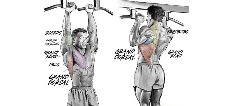 Подтягивания узким параллельным хватом. Схема подтягиваний обратным хватом. Тяга верх блока к груди узким хватом. Подтягивания параллельным хватом мышцы. Подтягивания параллельным хватом.