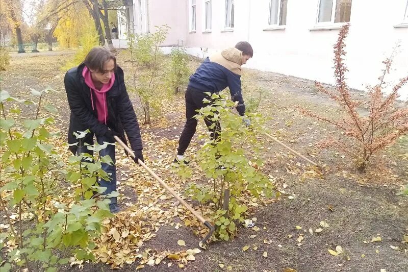 Смена октябрь. Трудовая смена. Школы Курганской области.