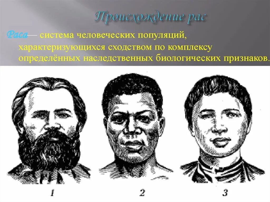 Человеческие расы. Большие расы. Три большие расы. Европеоидный разрез глазных. 3 типа рас