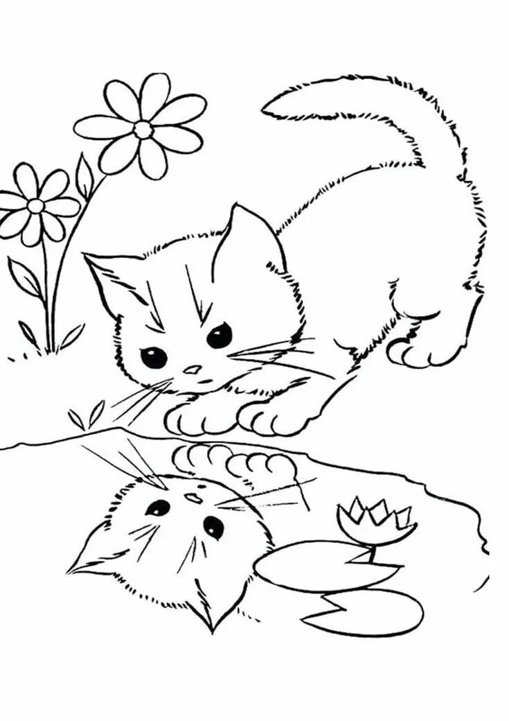 Cats page