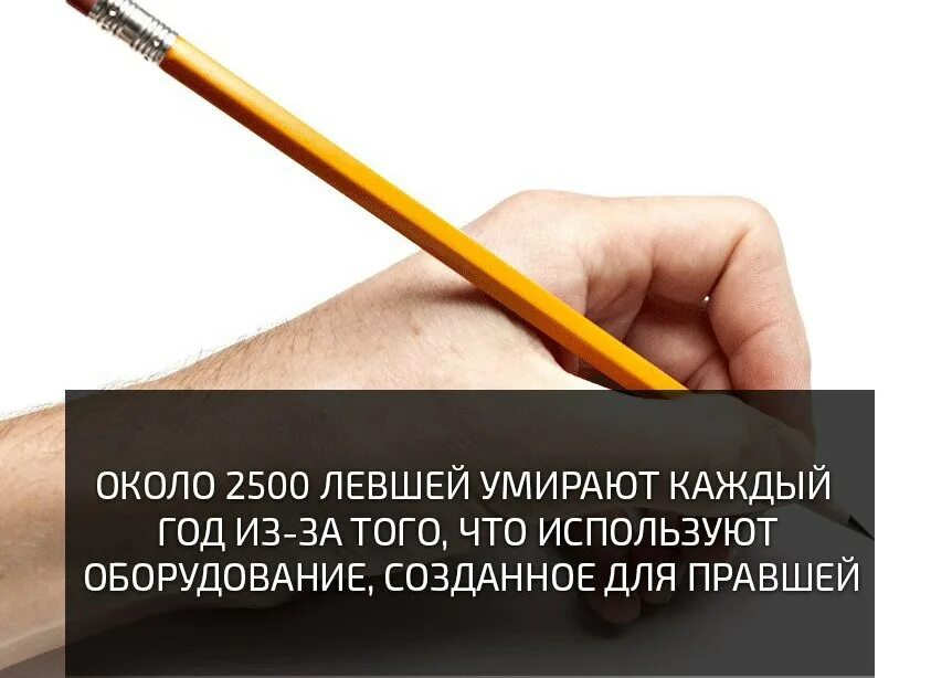 Левши живут меньше правшей. Исследовательская работа левша. Мемы про левшей. Почему левшей меньше чем правшей. Левши живут меньше.