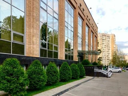 Кедр 15