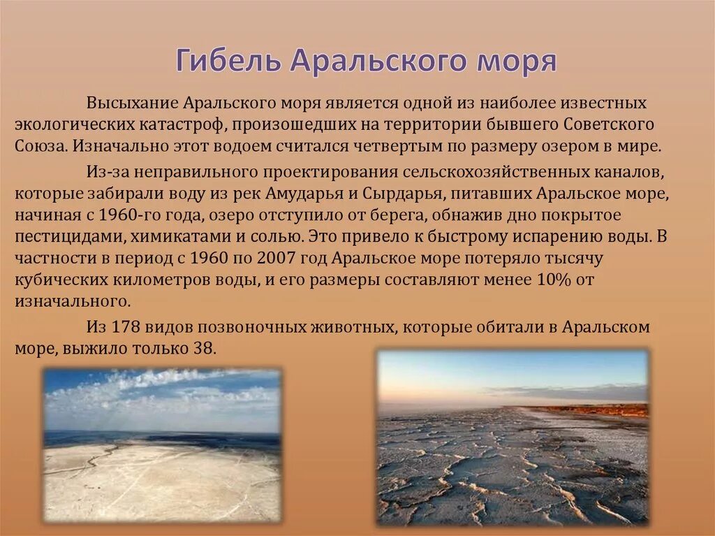 Почему исчезает история. Исчезновение Аральского моря экологическая катастрофа. Причины экологической катастрофы Аральского моря. Иссушение Аральского моря. Причины гибели Аральского моря.