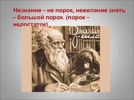 На дне пороки