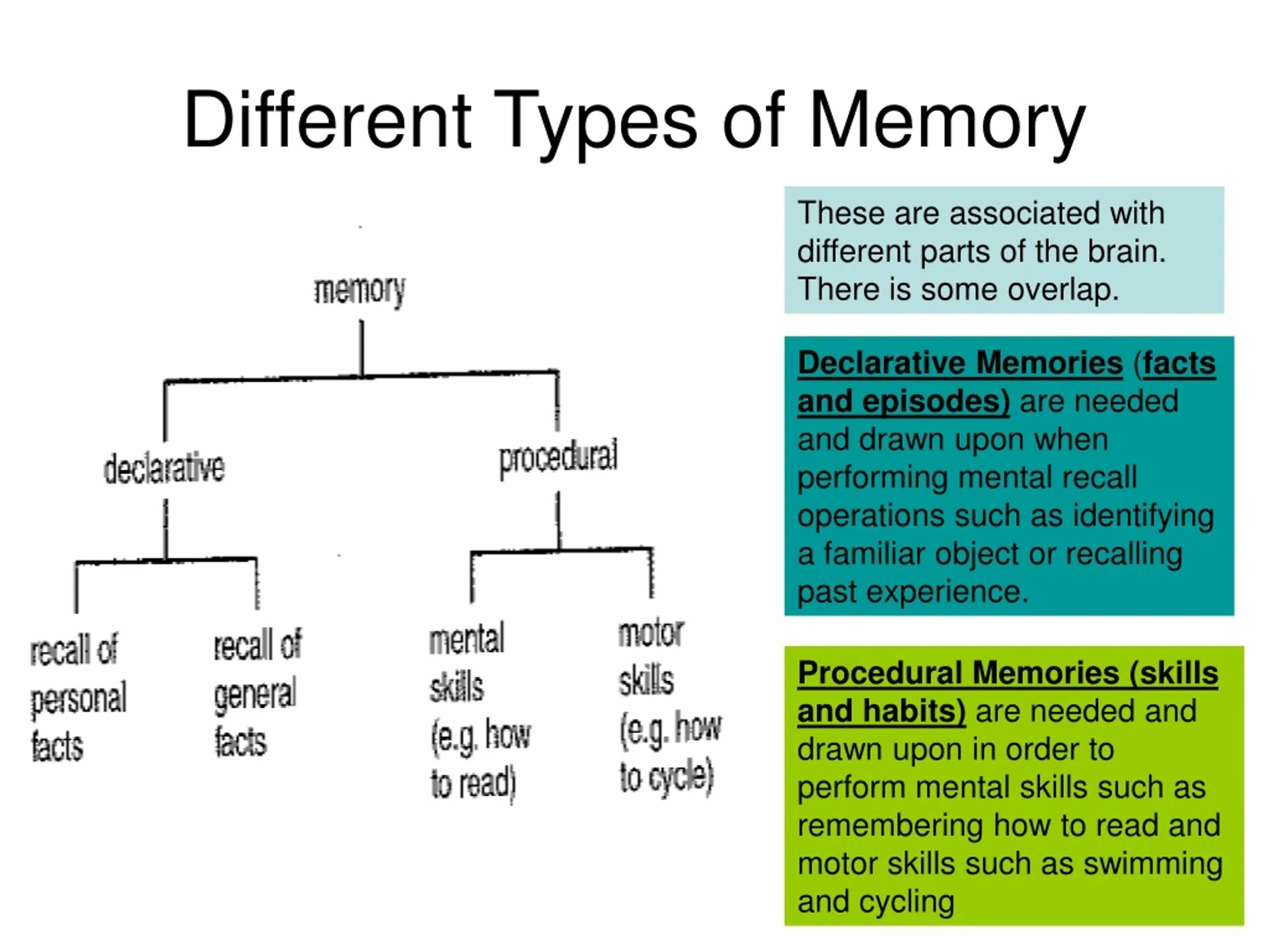 Kind of memory. Types of memory. types of memory computer. what is memory. types of memory картинки для презентации.