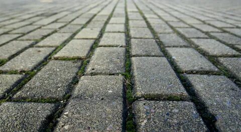 На пол дороге