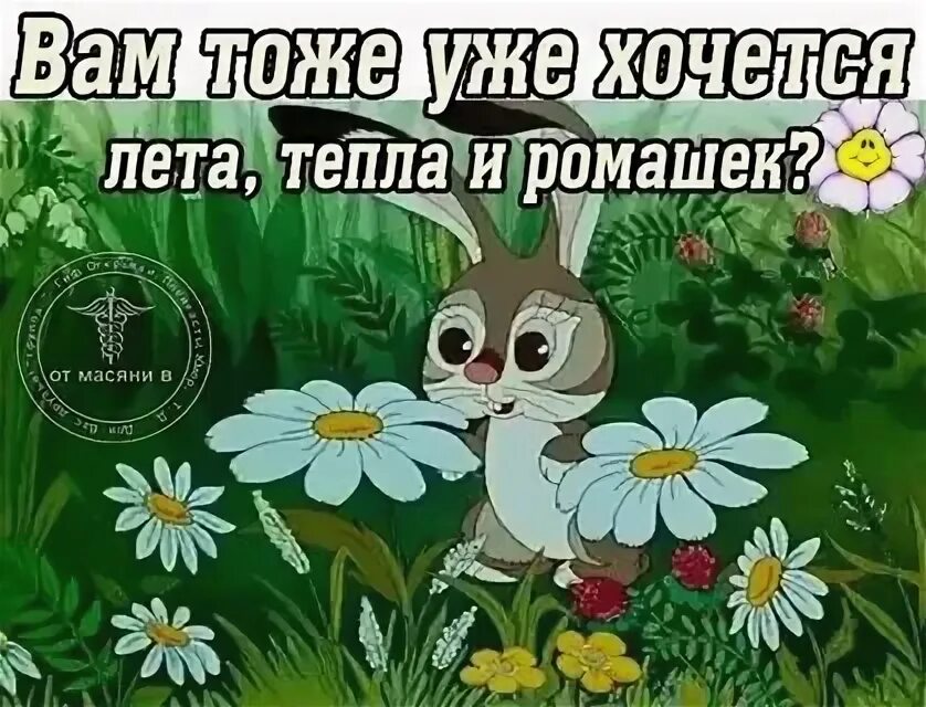 А тепла все нет и нет. Хочется лета и тепла. хочется лето. так хочется лето. лето уже скоро.