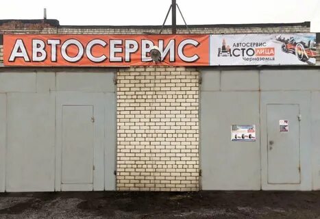 Сто воронеж