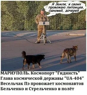 Я своих провожаю питомцев