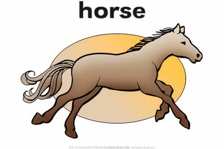 Лошадка по английски. Лошадь на англ. Карточка Horse. Английская лошадь. Horse карточка на английском.