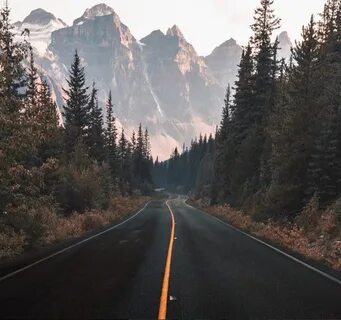 Дорога вайб