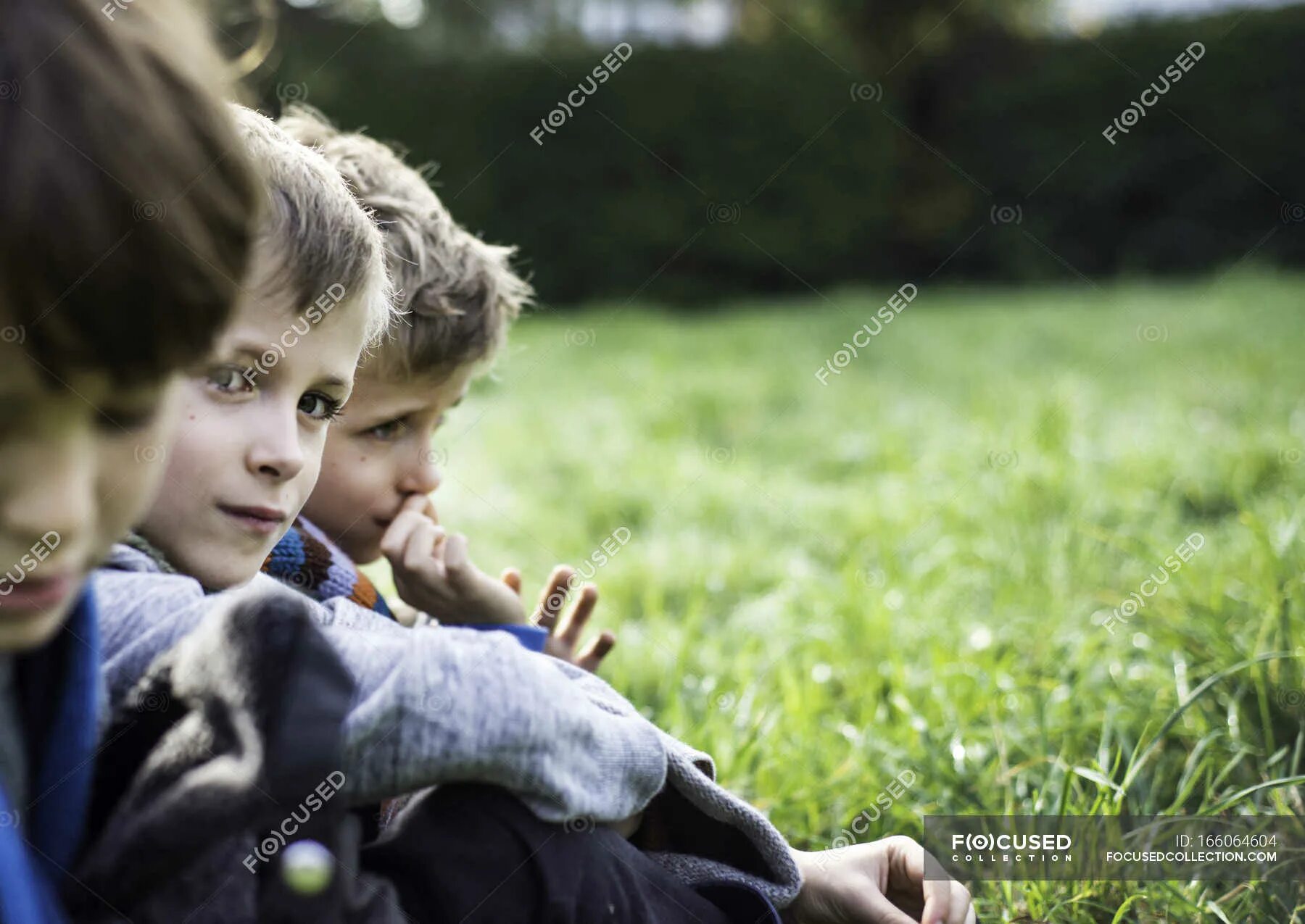 Three boys. Картинка трёх мальчиков которые принимают решения. Valerievale: missing photograph of three boys. Мальчики имеют друг друга