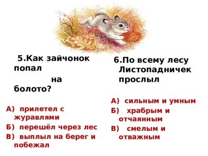 Задай другу вопросы по содержанию