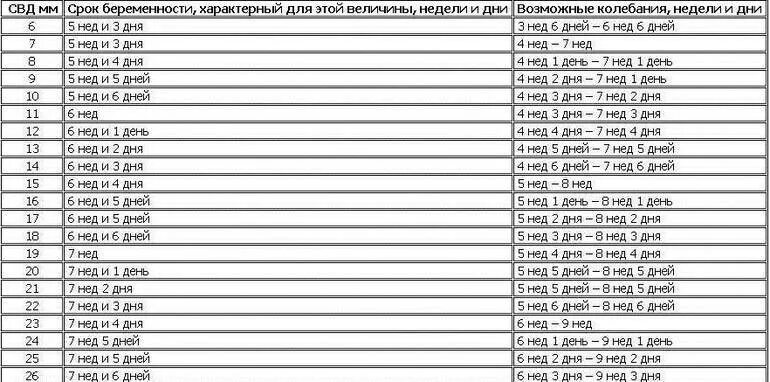 Размер эмбриона в 6 недель акушерских. Фото плода по неделям беременности по неделям. Размер плода 2 недели. Размер плода 2 недели. Размер плода 2 недели.
