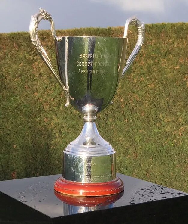 Cup wiki