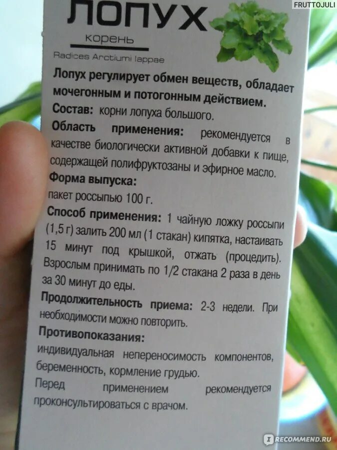 Лопух противопоказания к применению. Сок корня лопуха. Экстракт корня лопуха противопоказания. Корень лопуха способ применения. Сок лопуха миома.