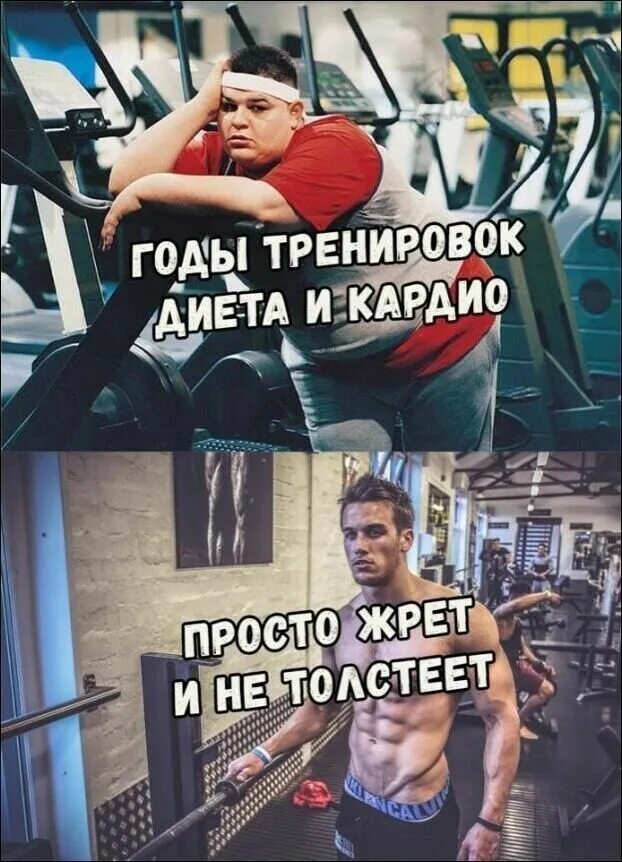 Отмазки чтобы не идти на тренировку