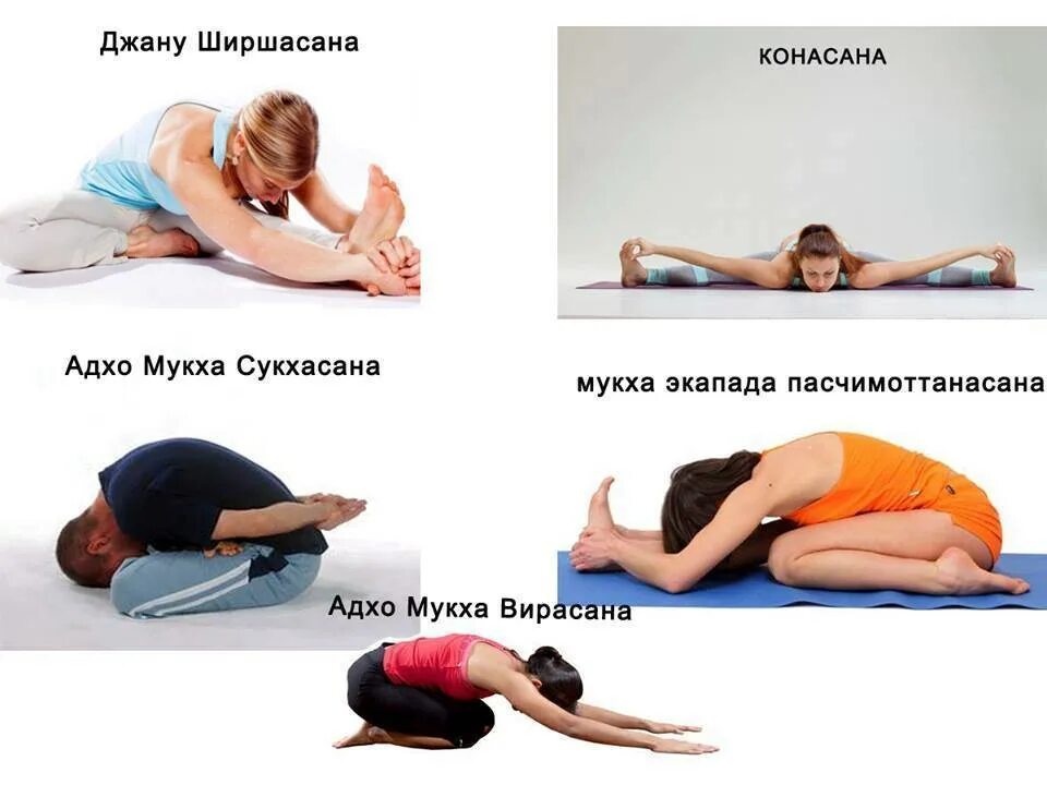 Какие упражнения делать при месячных. Мукха вирасана. позы йоги при болезненных месячных. позы для уменьшения менструальных болей. асаны для месячных.