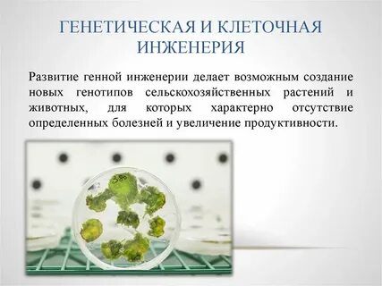 Генная инженерия это метод селекции