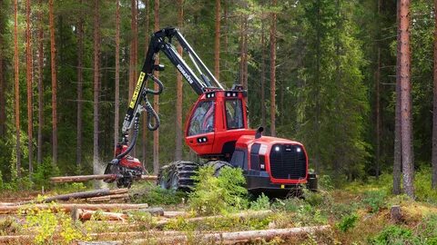 Лесозаготовительная техника