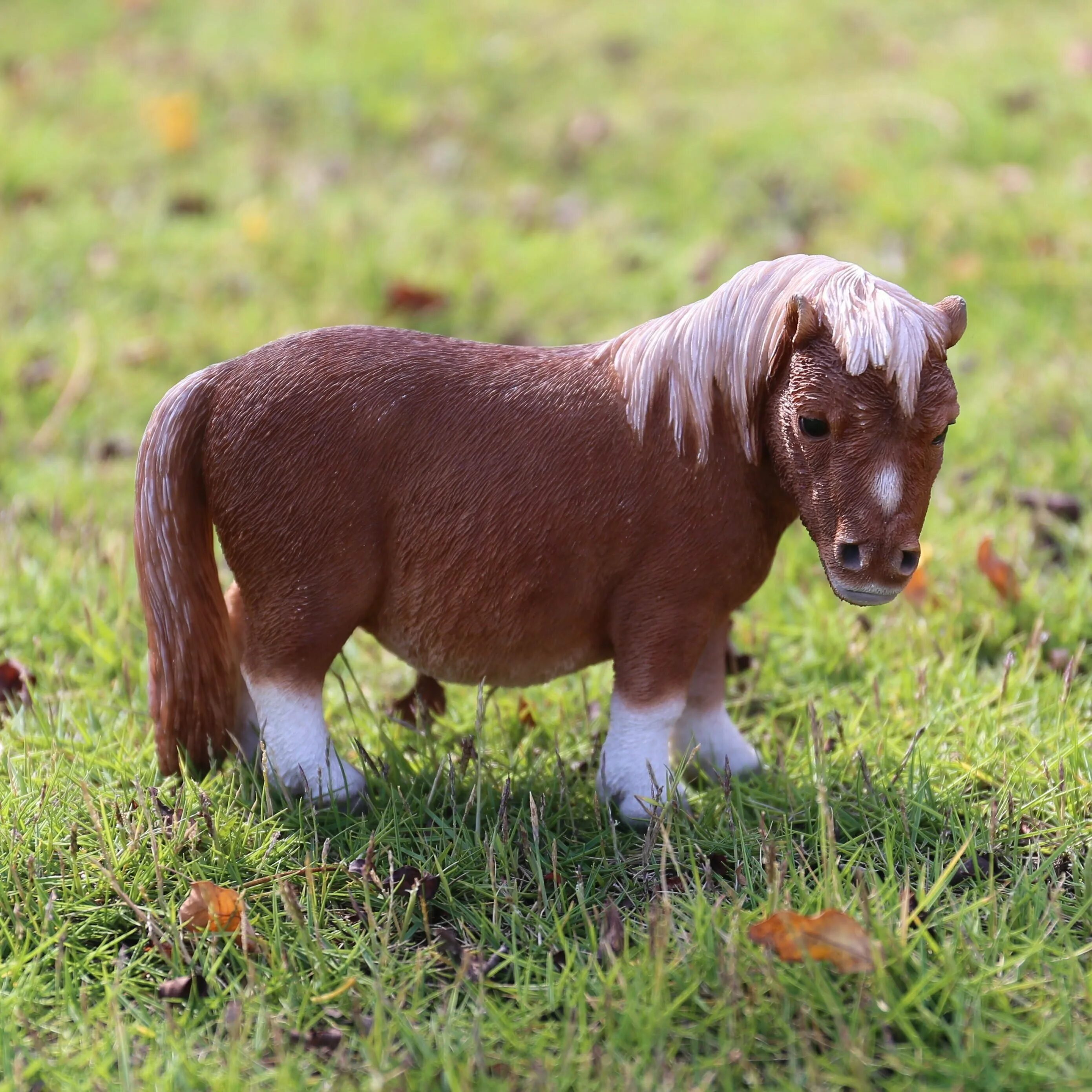 Mini pony. Пони Фалабелла. Пони(карликовая карликовая лошадь ). Карликовая Фалабелла. Мини шетлендский пони.