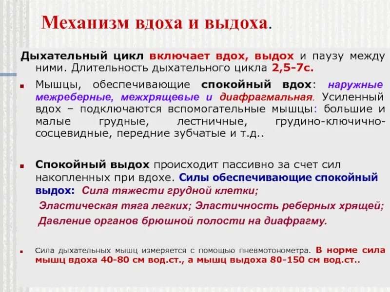 Цикл вдоха выдоха у ребенка 36 раз. Дыхательный цикл механизм вдоха и выдоха. Цикл вдоха выдоха у ребенка 36 раз. Дыхательный цикл состоит из. Вдох выдох пауза.
