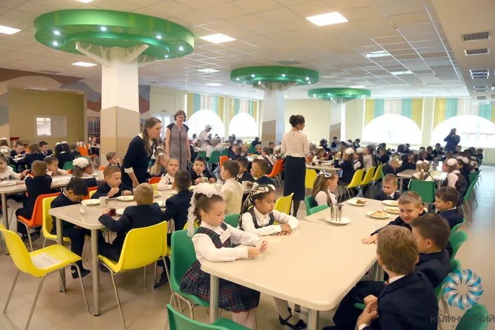 Школа 100 калининского района. Гбоу сош 100 калининского района. Пинязева светлана алексеевна адлер. Домашняя школа 100. Домашняя школа 100.