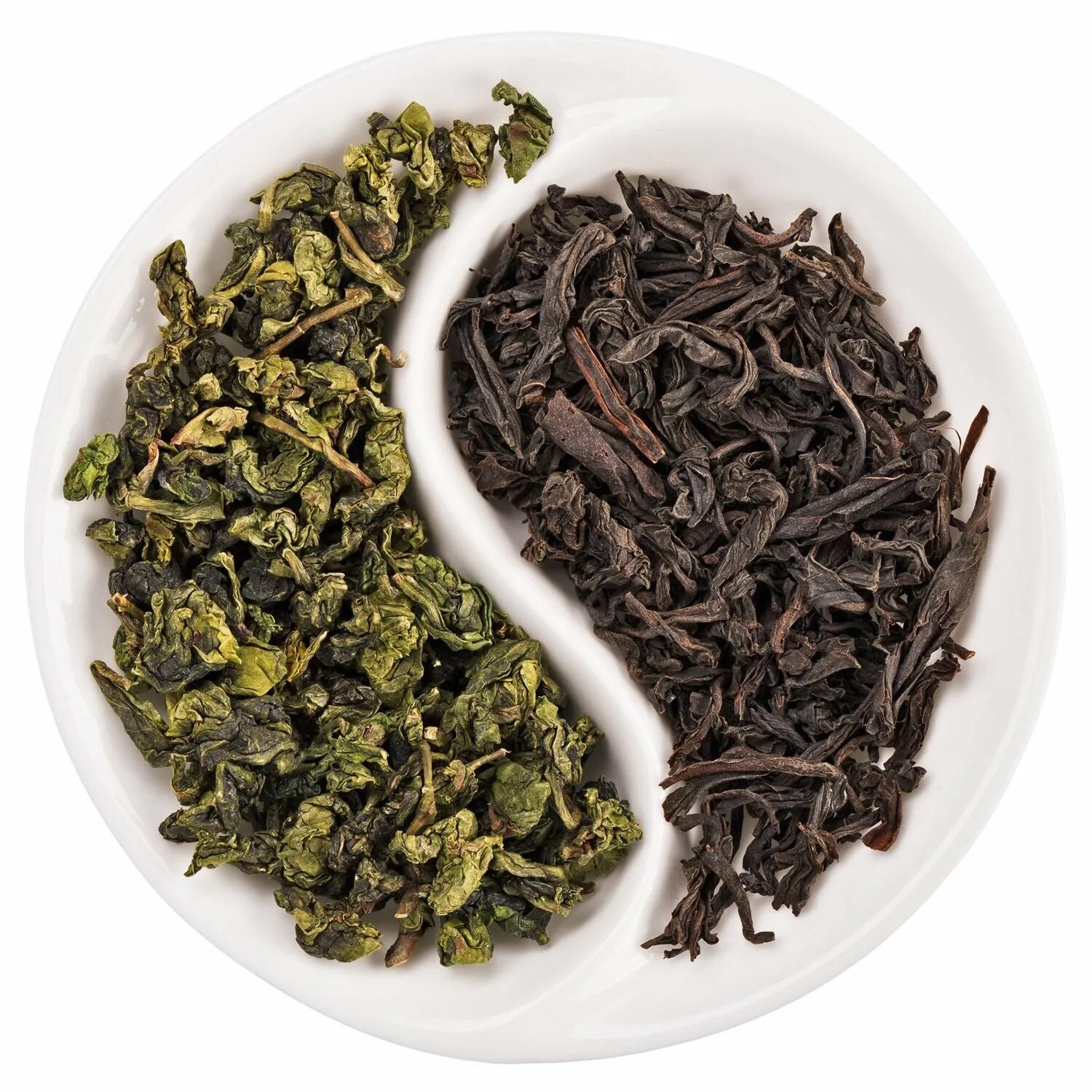 Чай Блэк Теа. Чай оолонг черный или зеленый. Зеленый чай Канта улуна. Чай улун зеленый или черный.